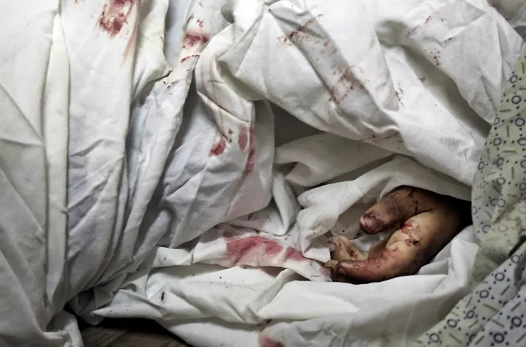 3289E800F7C4FFB6-jpg6161270050463591522