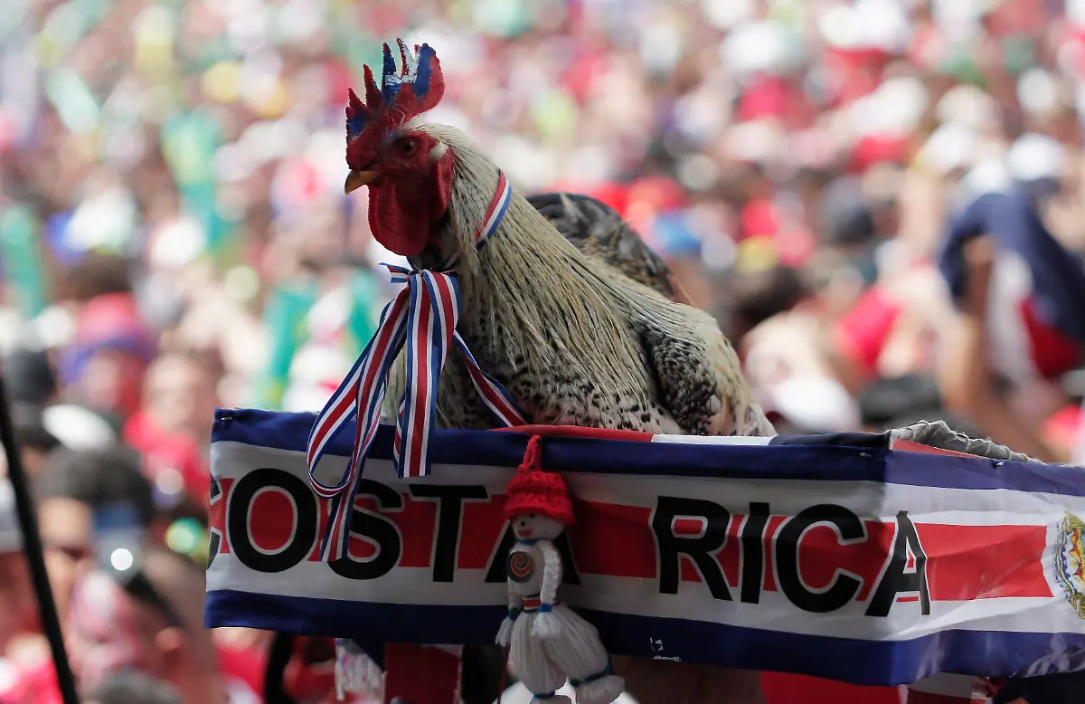 2014-07-05T225538Z-981174389-GM1EA760J5501-RTRMADP-3-BRAZIL-WORLDCUP-JPG3775535238998428844