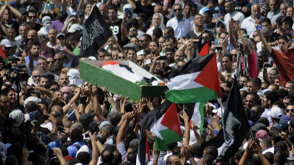 3289C8007CB303D3-jpg3663417030819451539