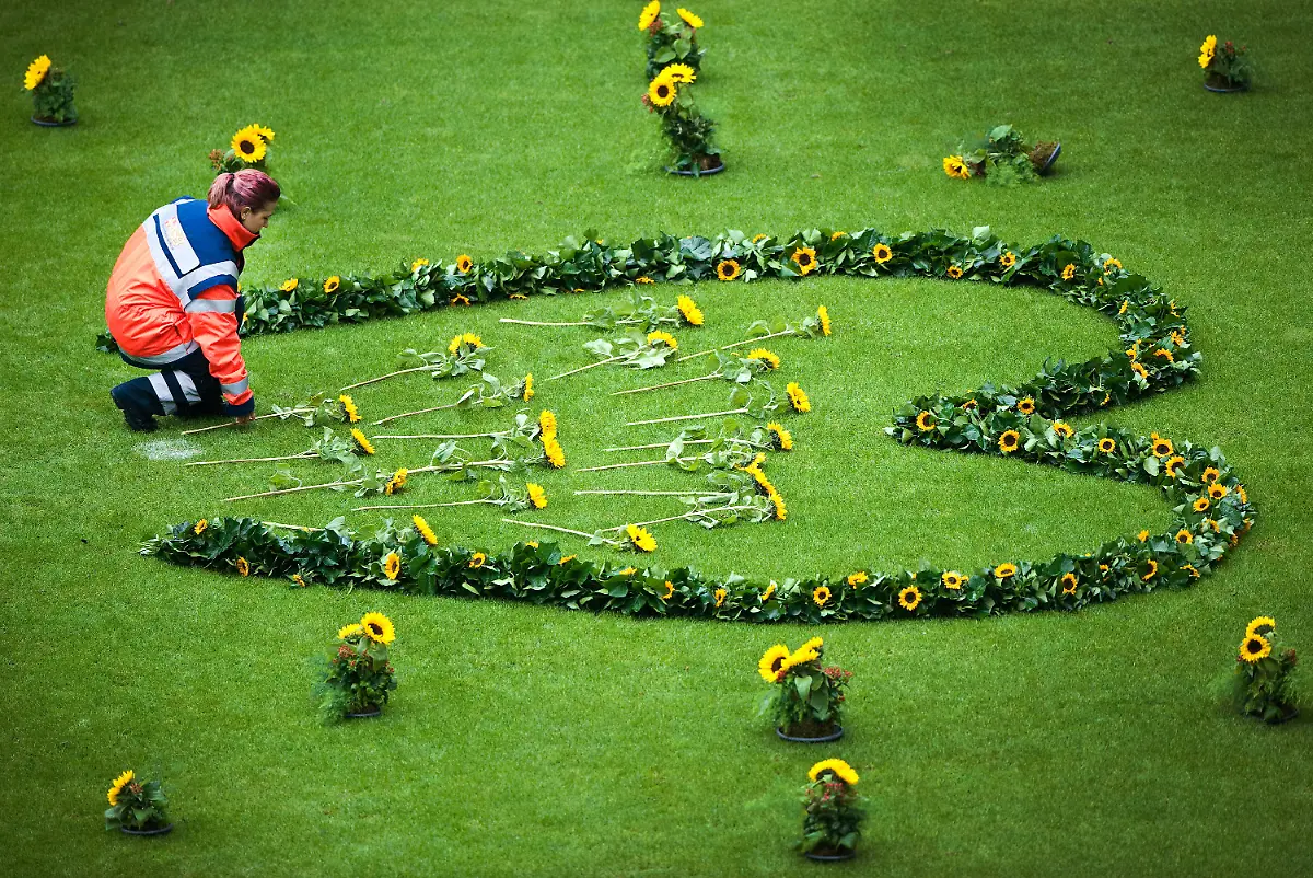 3jet0603-jpg912190026800024134