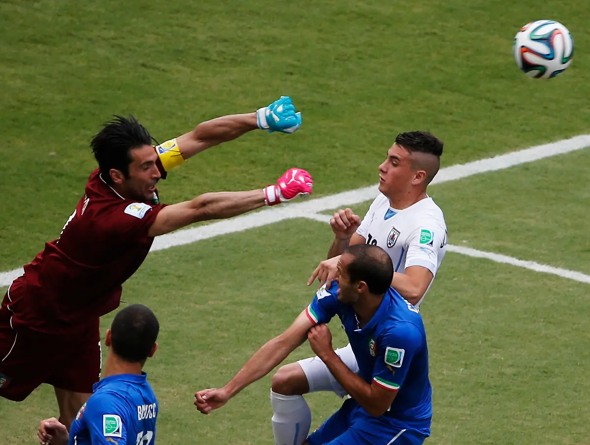 Buffon2