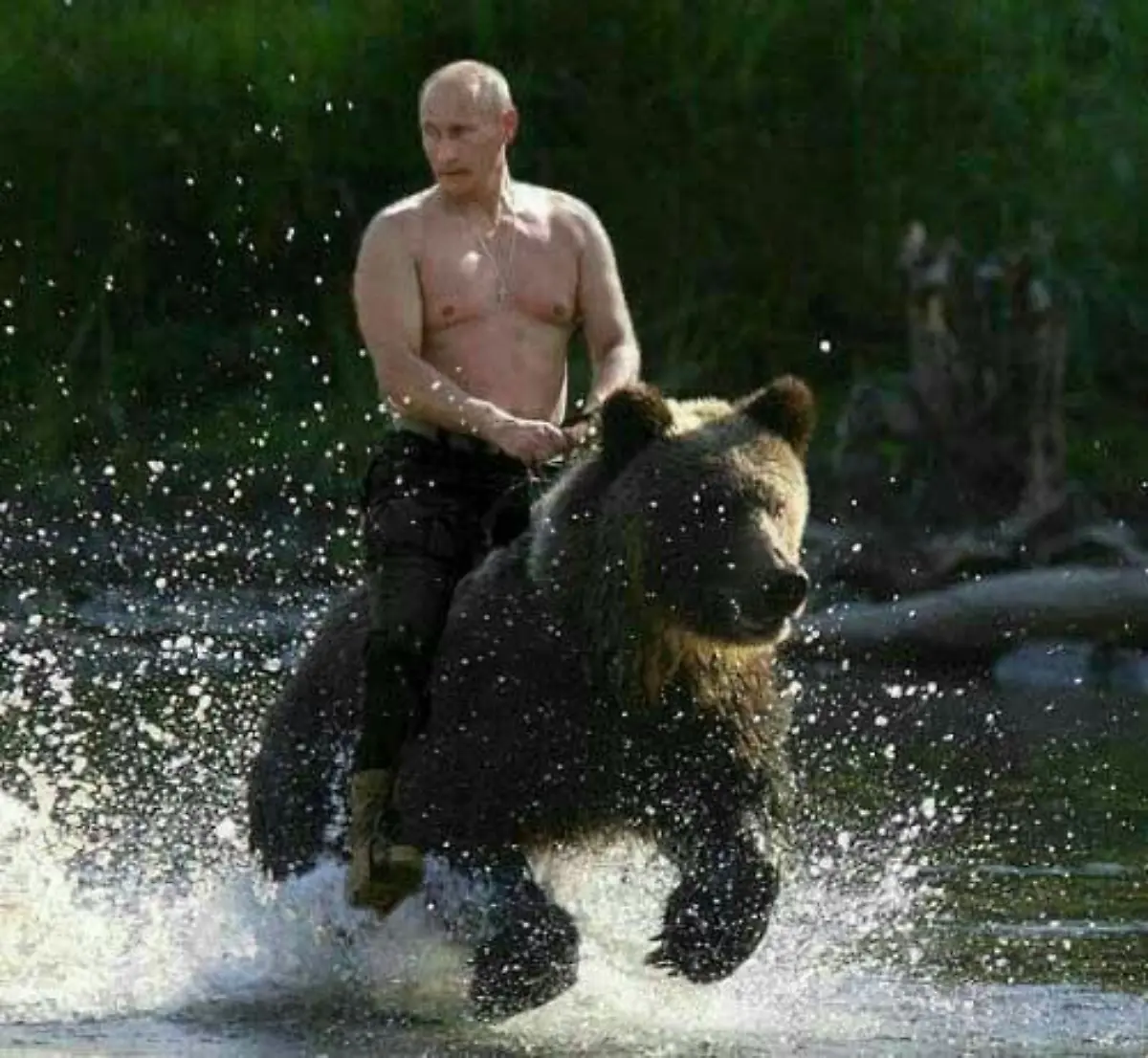 Putin-Baer