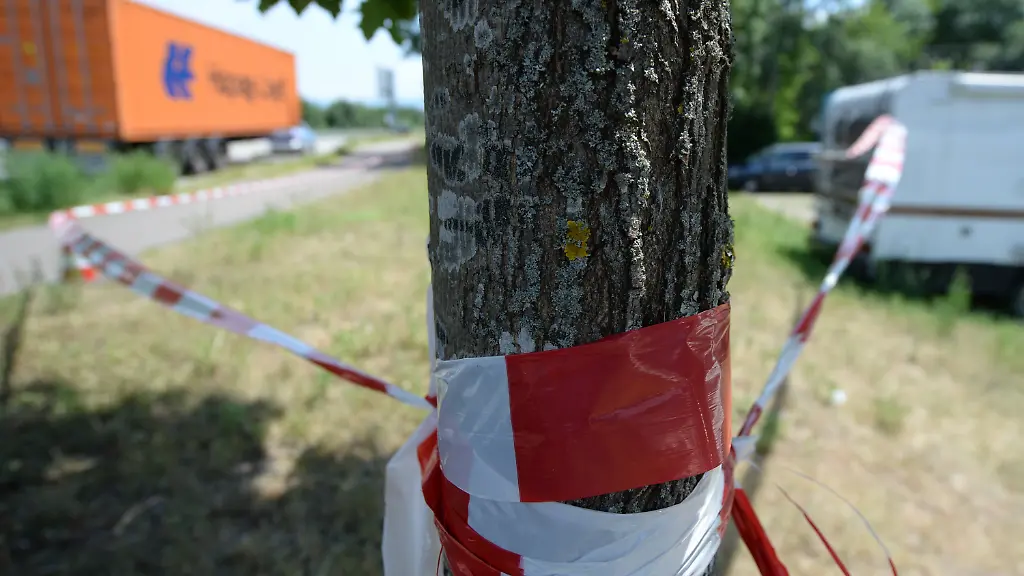 3j7q3739-jpg8883358009116324470