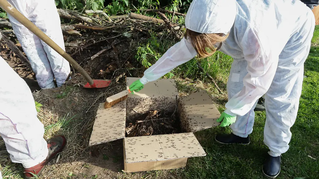 3j6b4445-jpg3021571042791331795