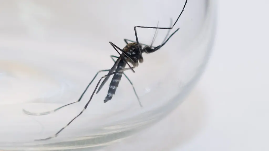 3j5h0826-jpg7624573499533188760