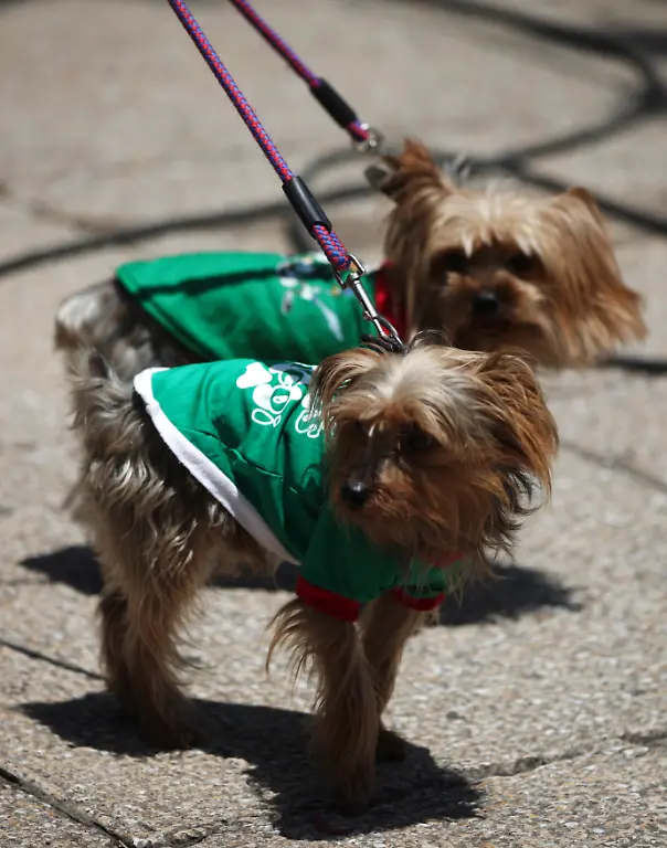 2014-06-13T221544Z-388625553-GM1EA6E0H5801-RTRMADP-3-BRAZIL-WORLDCUP-JPG1435751309437673895