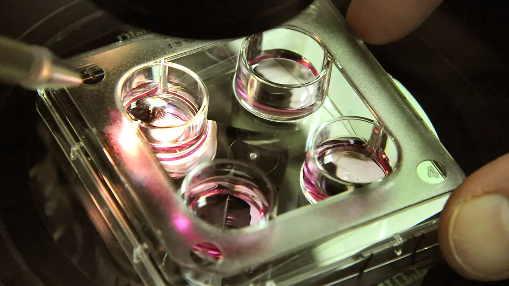 3j3t3801-jpg8306606707936625846