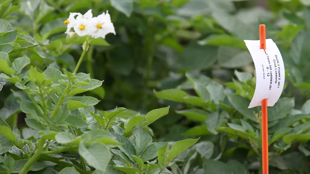 3j2x3614-jpg3617670024573384640