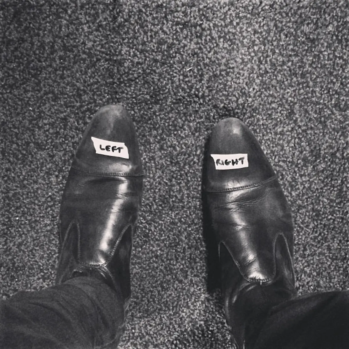 1f19bb26371011e398c722000ab5a787-8