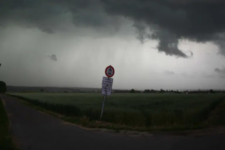 3j1a1716-jpg1982509597871168838