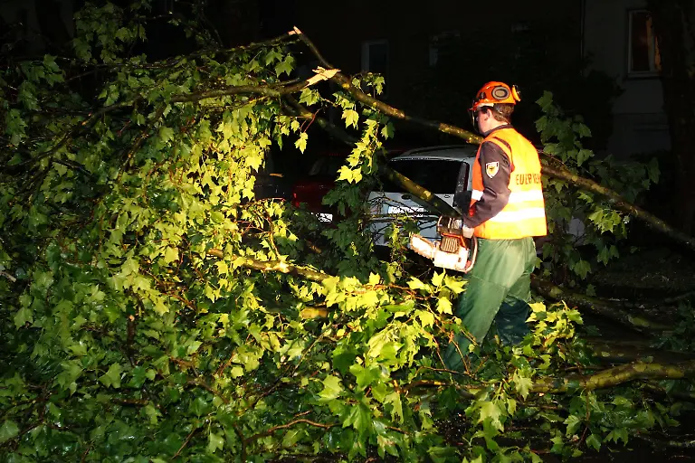 3j1a2805-jpg5571327009927622897