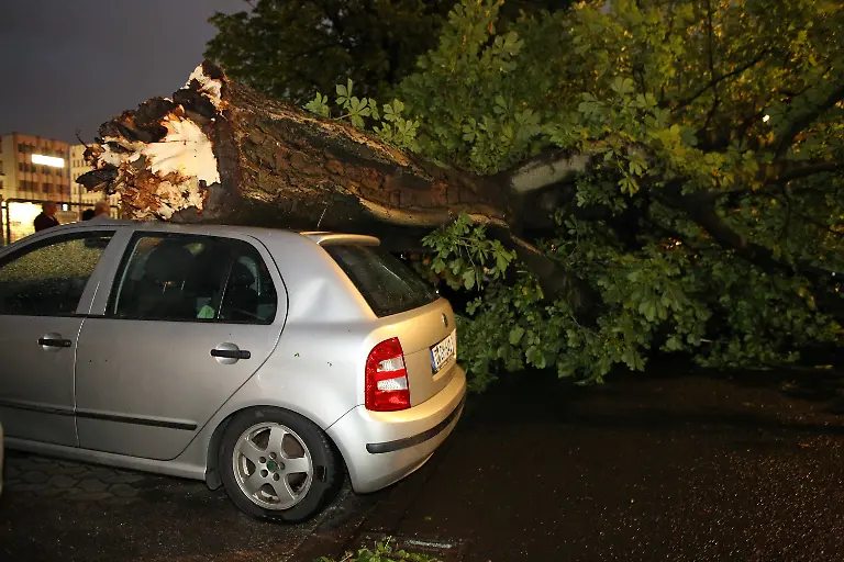 3j1a3826-jpg9140755341590928979