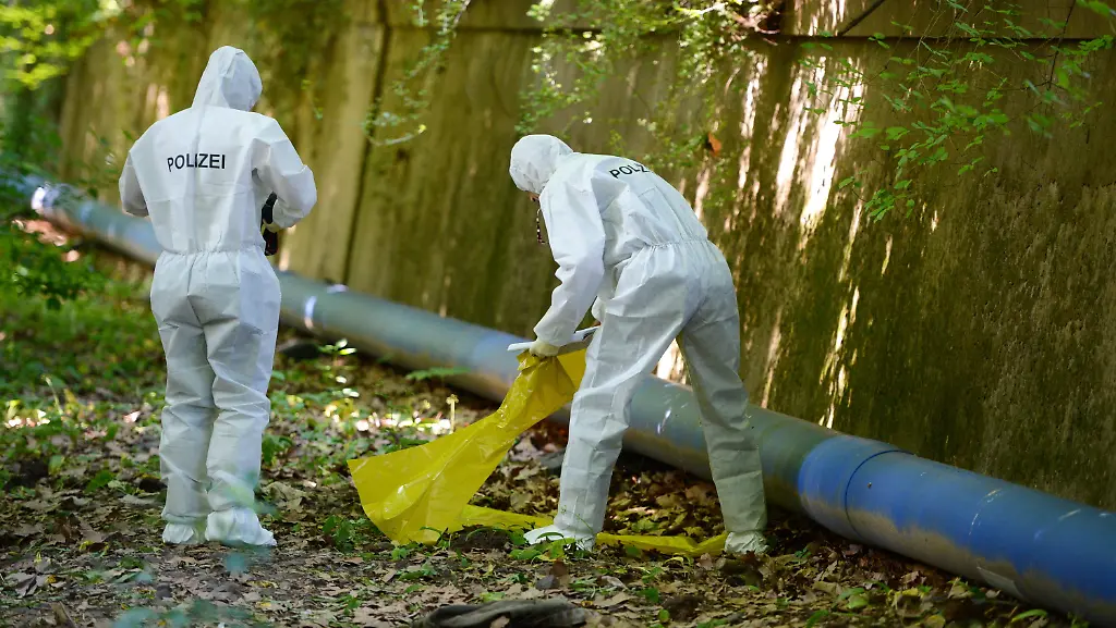 3iwd1722-jpg920289839668244194