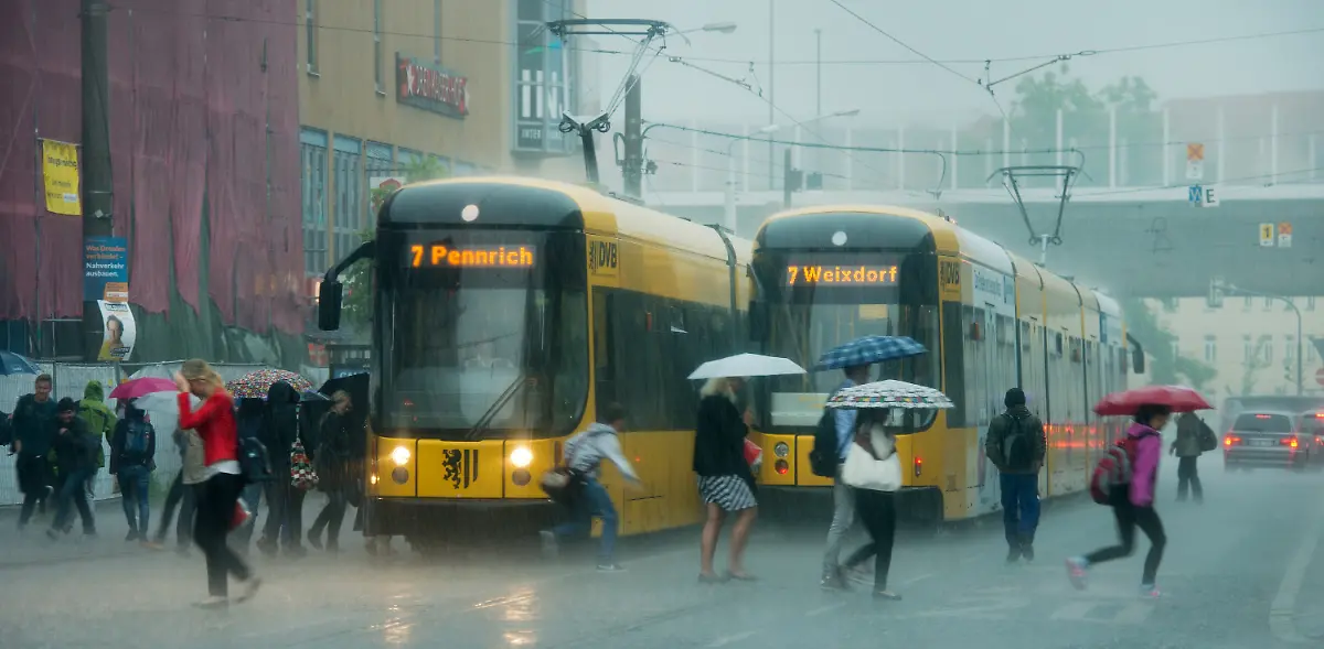 3isg0615-jpg8140398840692474964