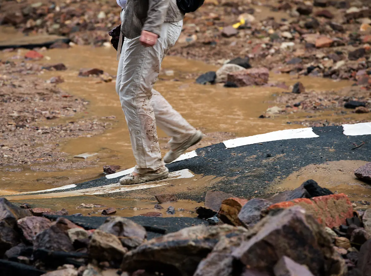 3isi3633-jpg2521119064264925528