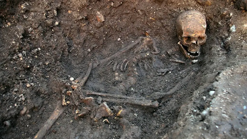 3ipu3430-jpg5469353143477776466