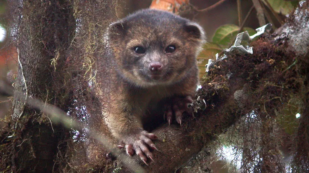 3ipm0031-jpg2440402971878476519