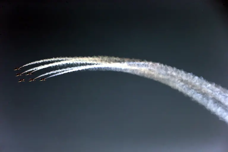 3inu1843-jpg4102379504585891941