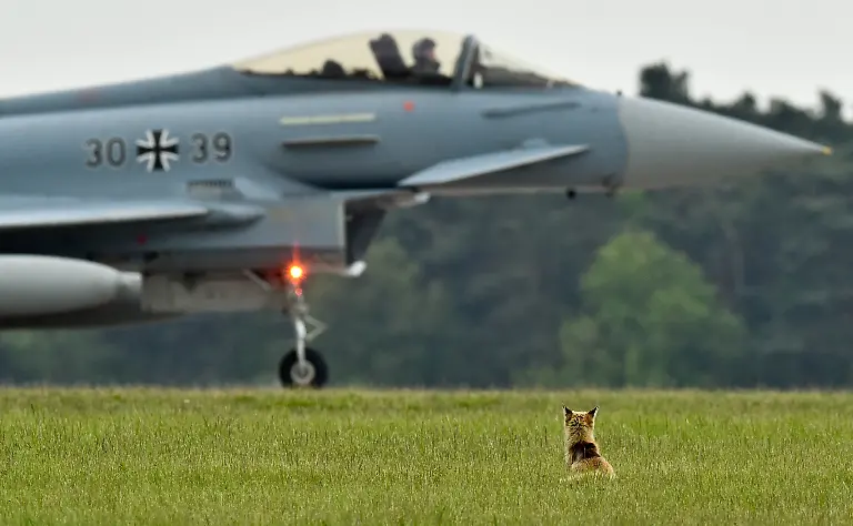 3ikc3155-jpg4515165771038570190