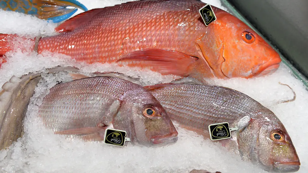 3ij03845-jpg6964987400437490897