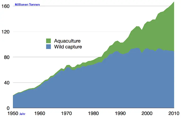 Entwicklung-Epipelagic-3-0