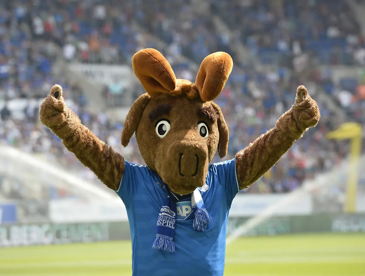 imago-sp-042619400066-16290165-jpg3552243882574490636