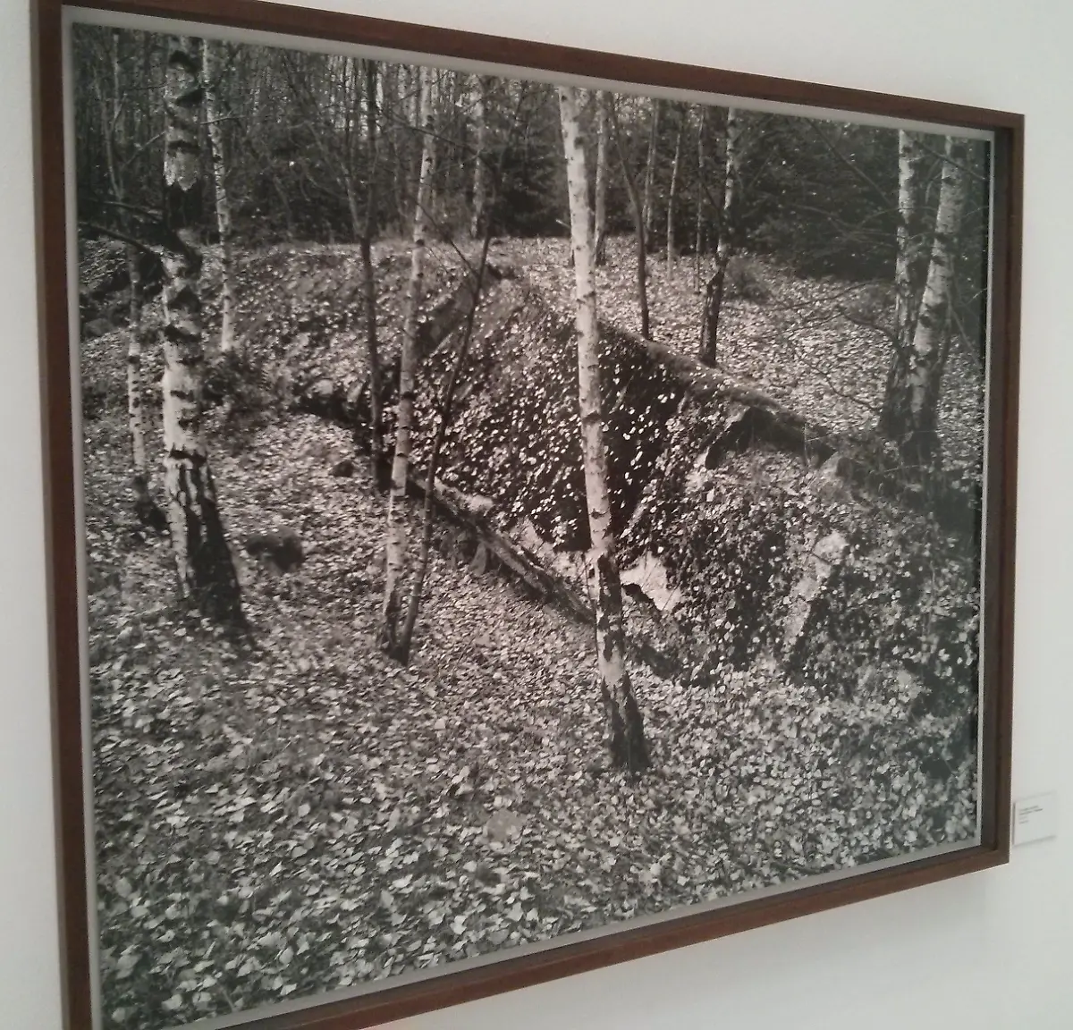 Ute-und-Werner-Mahler-Wo-die-Welt-zu-Ende-war