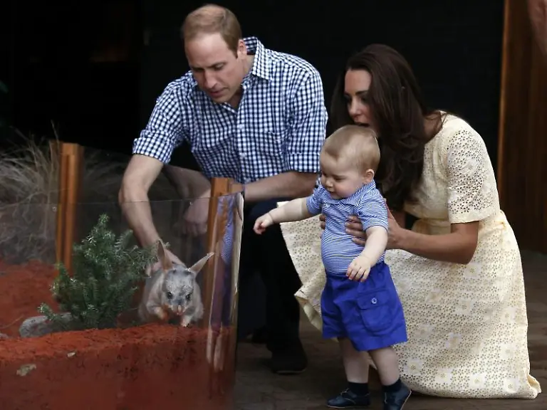 George-hat-das-Bilby-lieb