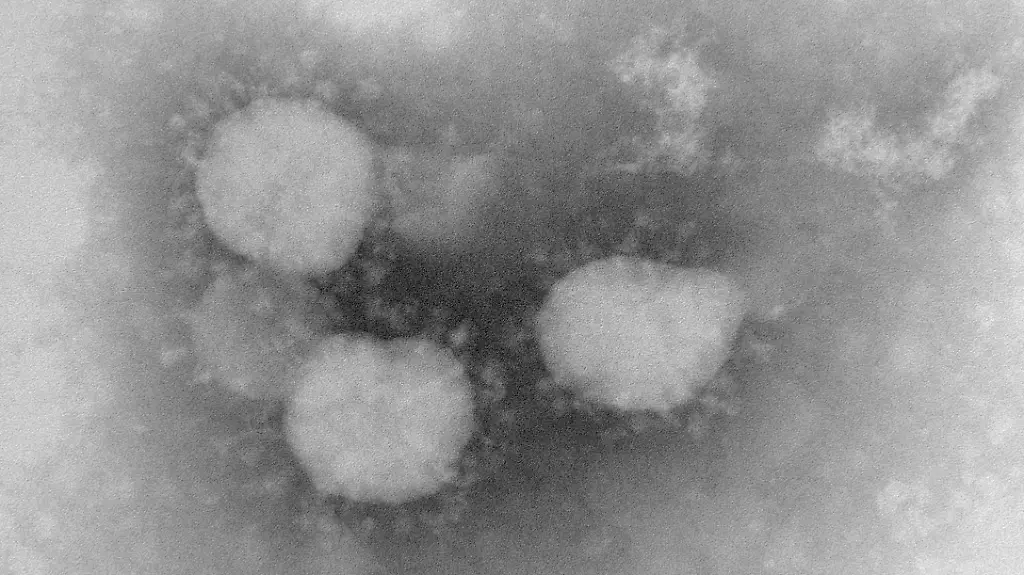 3hyd1652-jpg952772765605346453