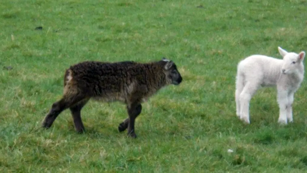 3hud3023-jpg3846353300640202678