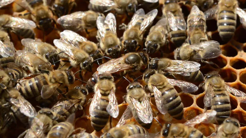 3huc2715-jpg2599380017082482307