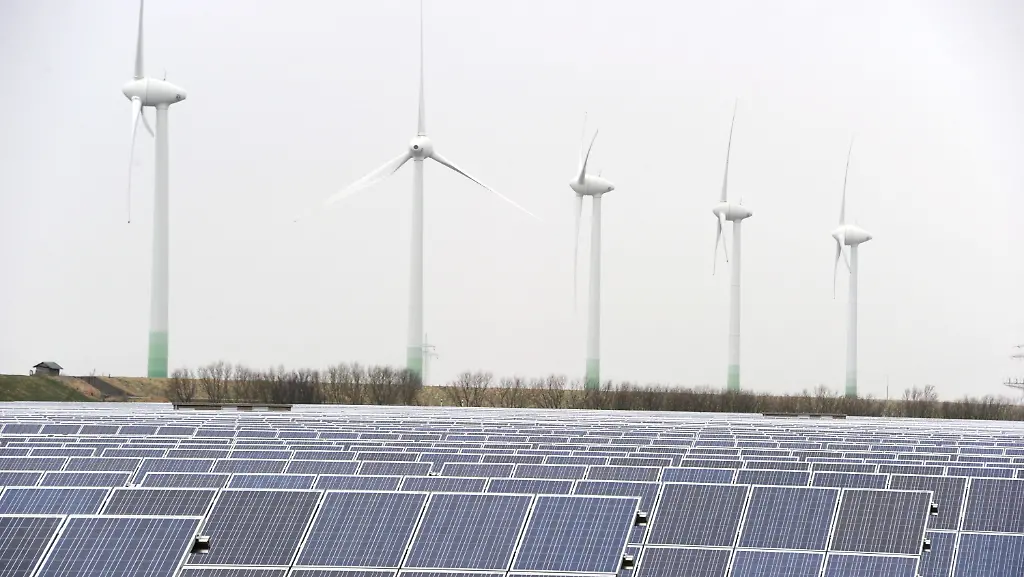 3hpv0009-jpg4141307369755691450