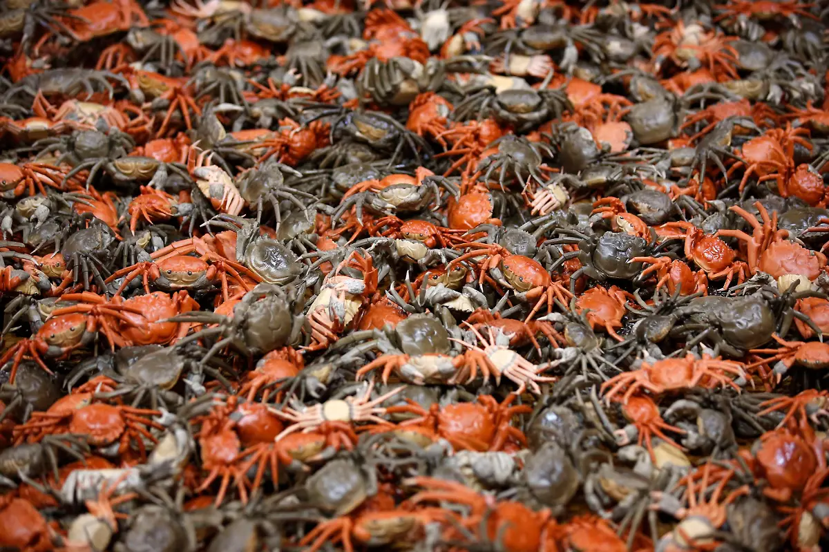 2014-04-02T112038Z-714130852-BM2EA420YZM01-RTRMADP-3-GERMANY-JPG4468115583730304193