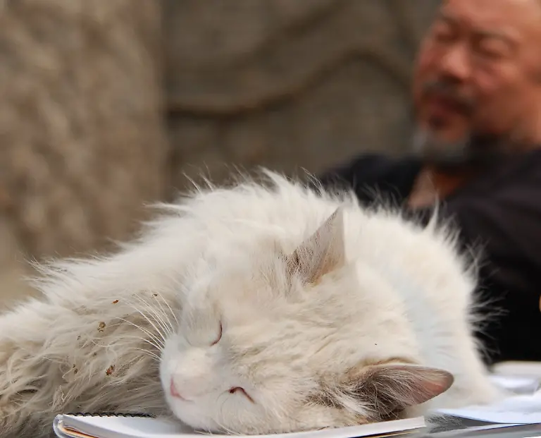 3hm50211-jpg1254863598550372834