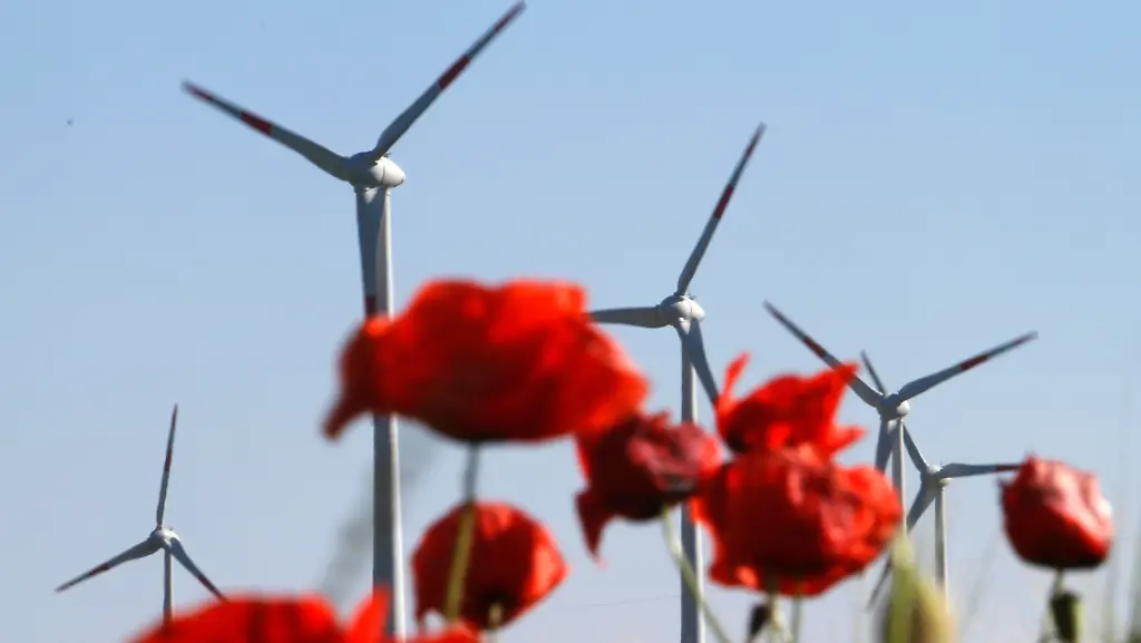 3288F600F69111FF-jpg7322134414097100777