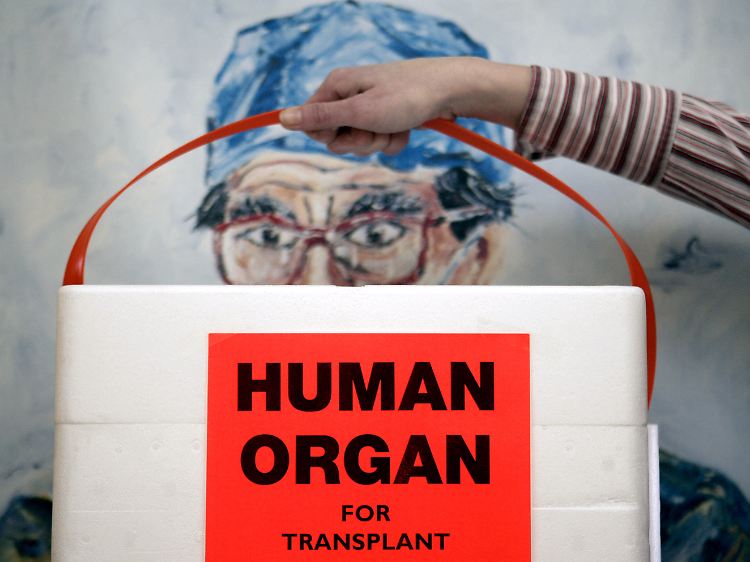 Eine Mitarbeiterin der Deutschen Stiftung für Organtransplantation in Neu-Isenburg hält in einem Büro der Organisation eine spezielle Kühlbox für Spenderorgane vor das Bild eines Chirurgen.
