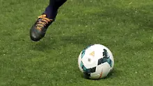 Kurioses aus dem Sport: Wer solche Mitspieler hat ...