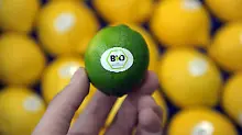 Nach Skandalen um Eier und Öl: Brüssel will Regeln für Bioprodukte verschärfen