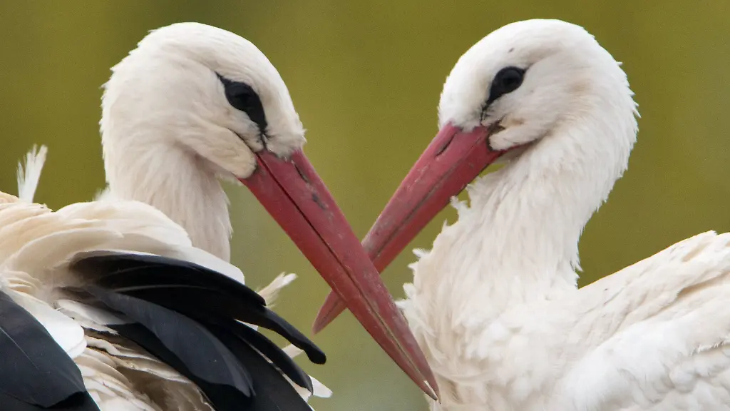 3hh10433-jpg1120504080616148385