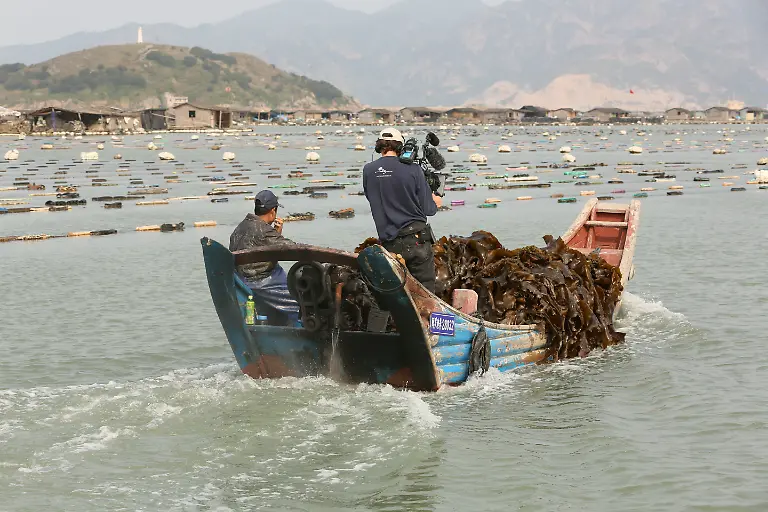 Verwendung-nur-im-Zusammenhang-mit-Berichterstattung-Film-watermark-ot-17