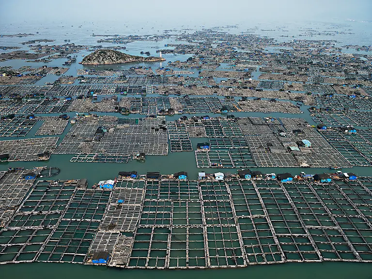 Verwendung-nur-im-Zusammenhang-mit-Berichterstattung-Film-watermark-ot-09