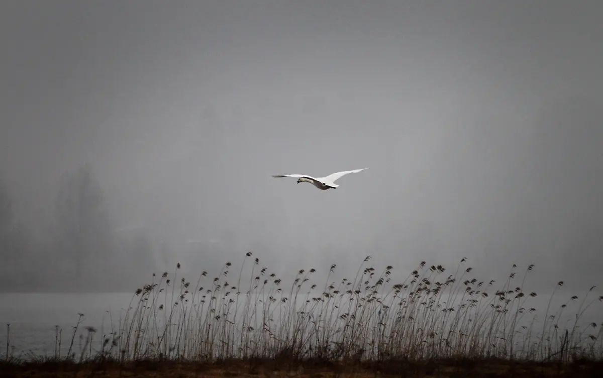 3hfh0653-jpg1799000294878646836