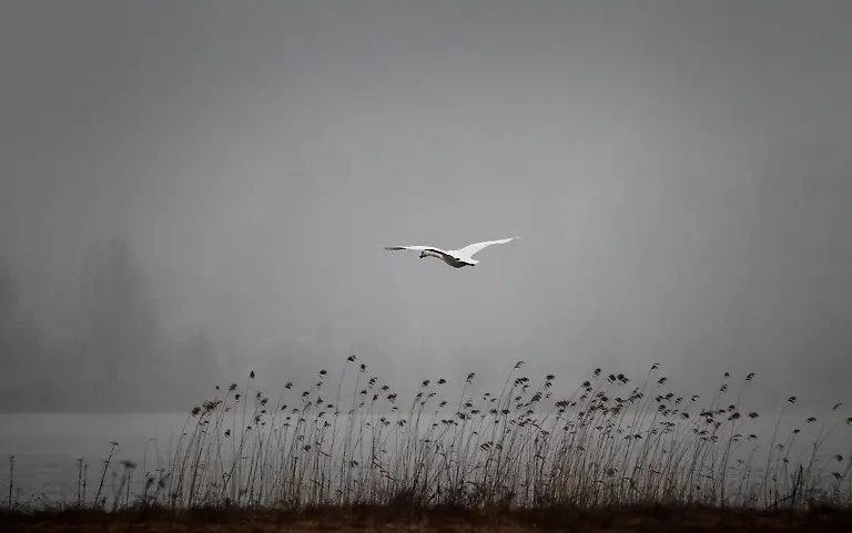 3hfh0653-jpg1799000294878646836