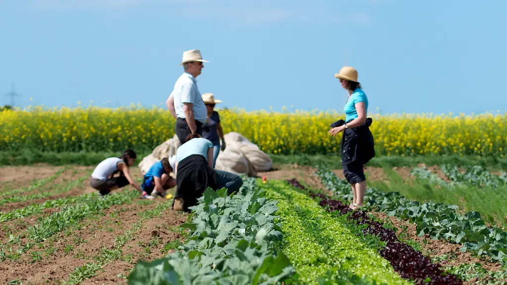 3he51820-jpg706605829952615772