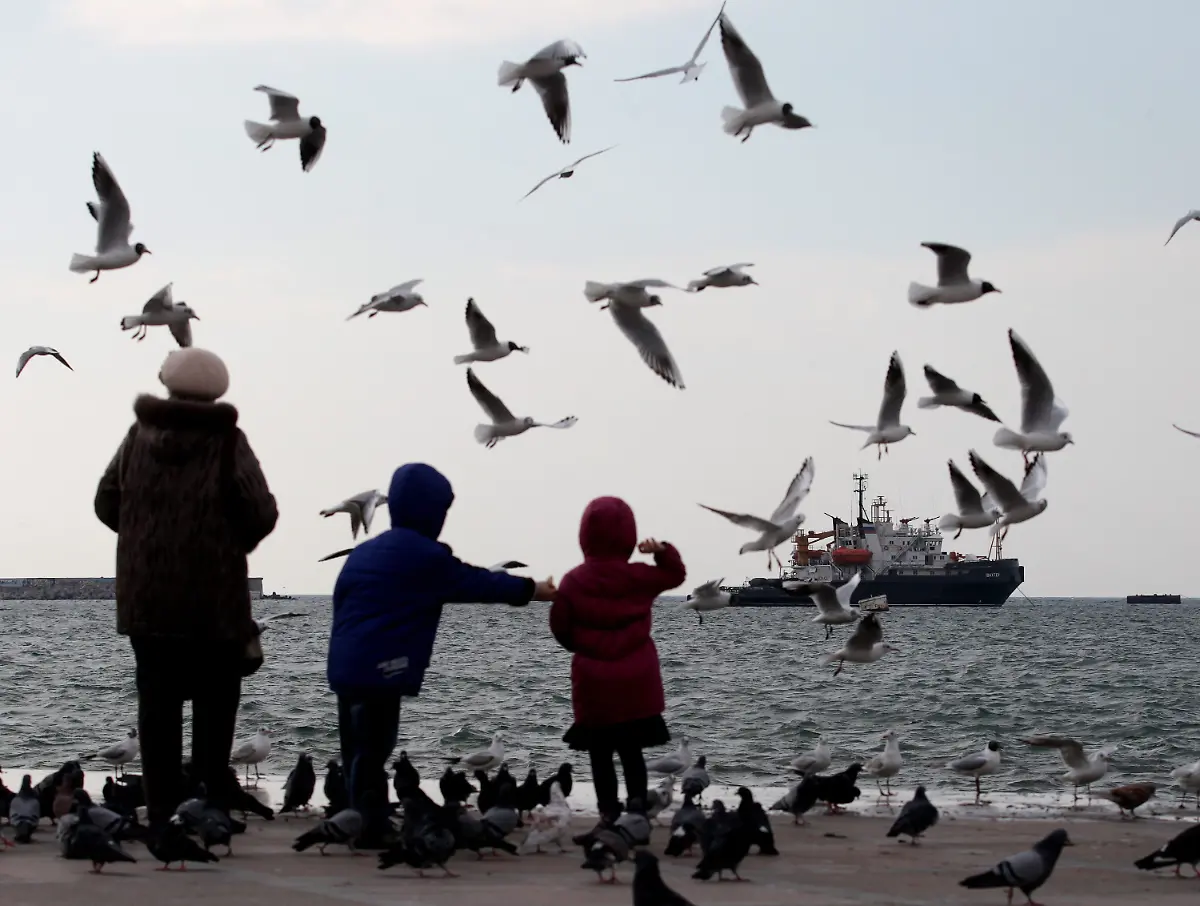 3hd43337-jpg5422489876748573287