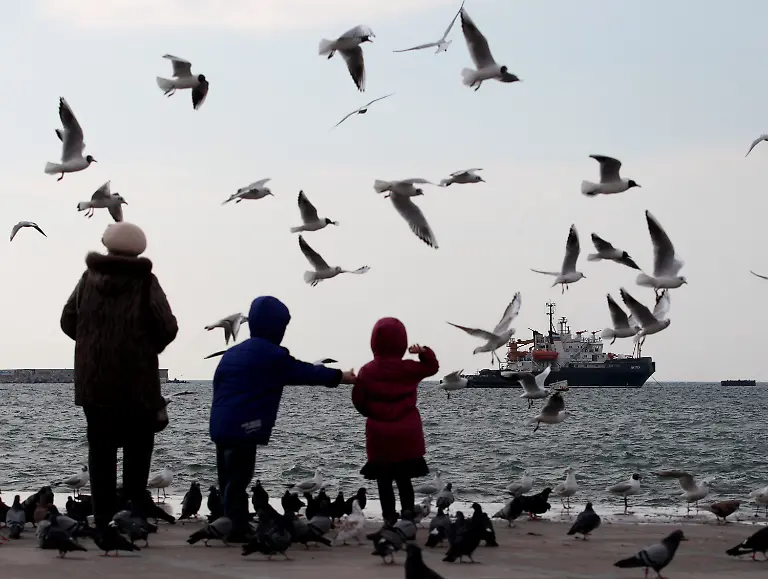 3hd43337-jpg5422489876748573287