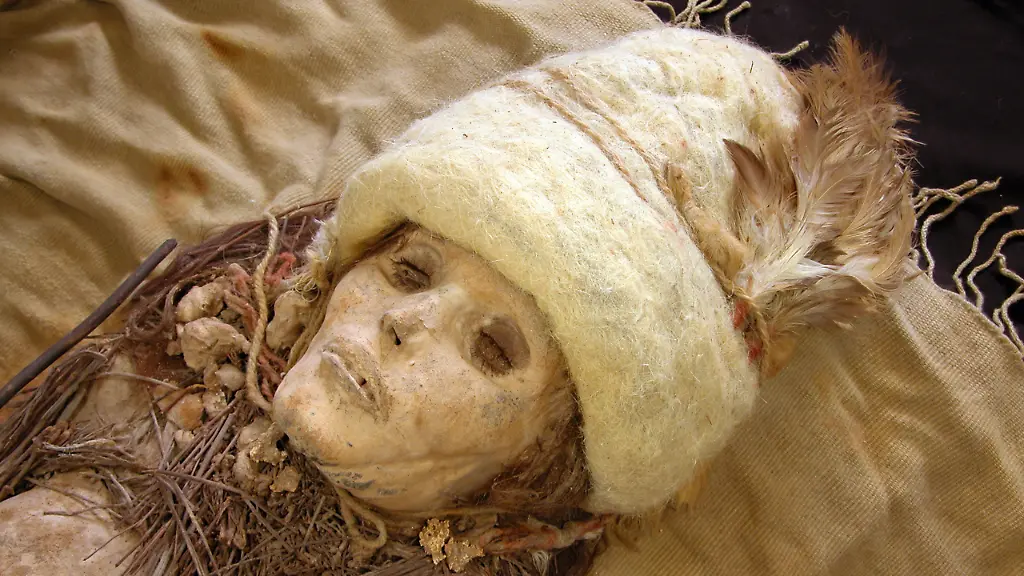 3h8e0336-jpg4277344774740397875