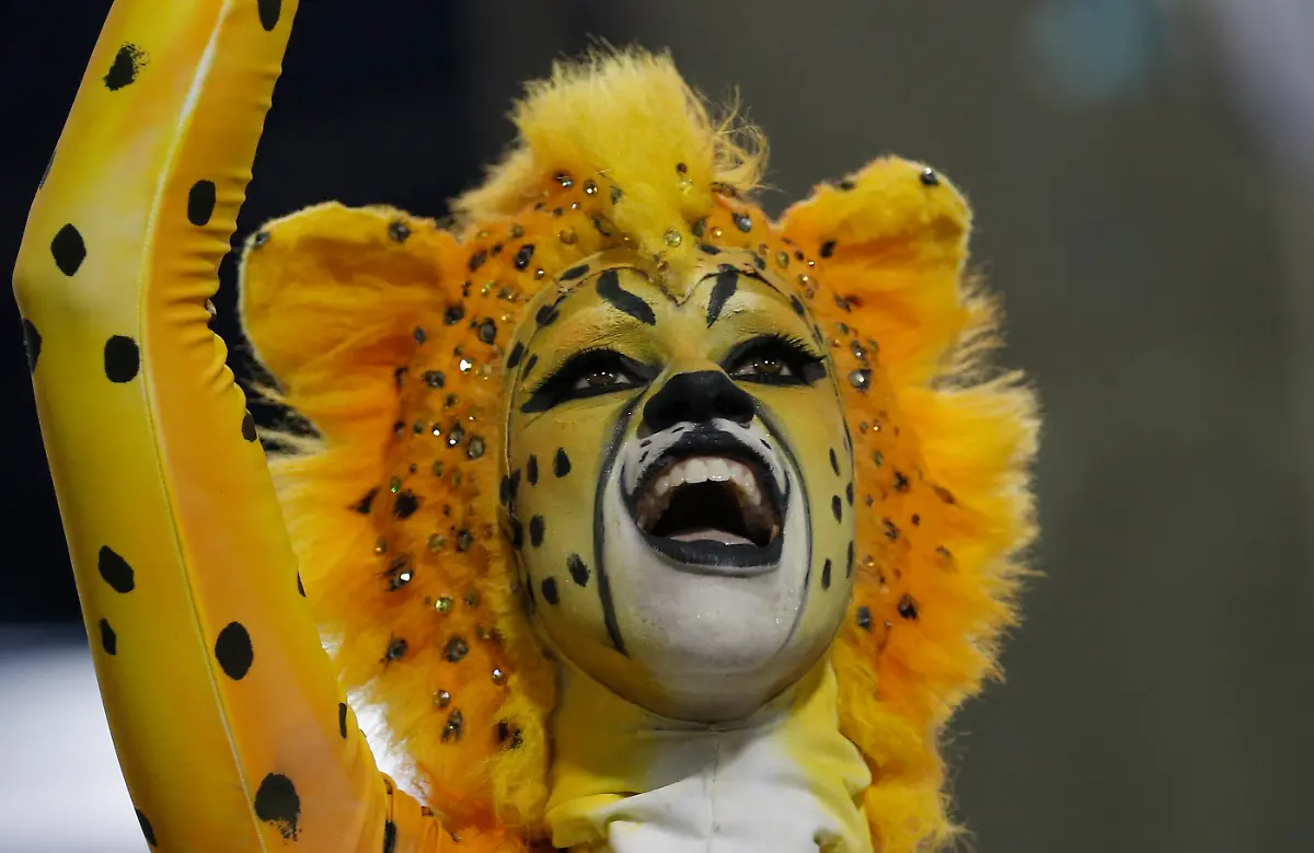 3288C8004024E7F6-jpg3959303416010430870