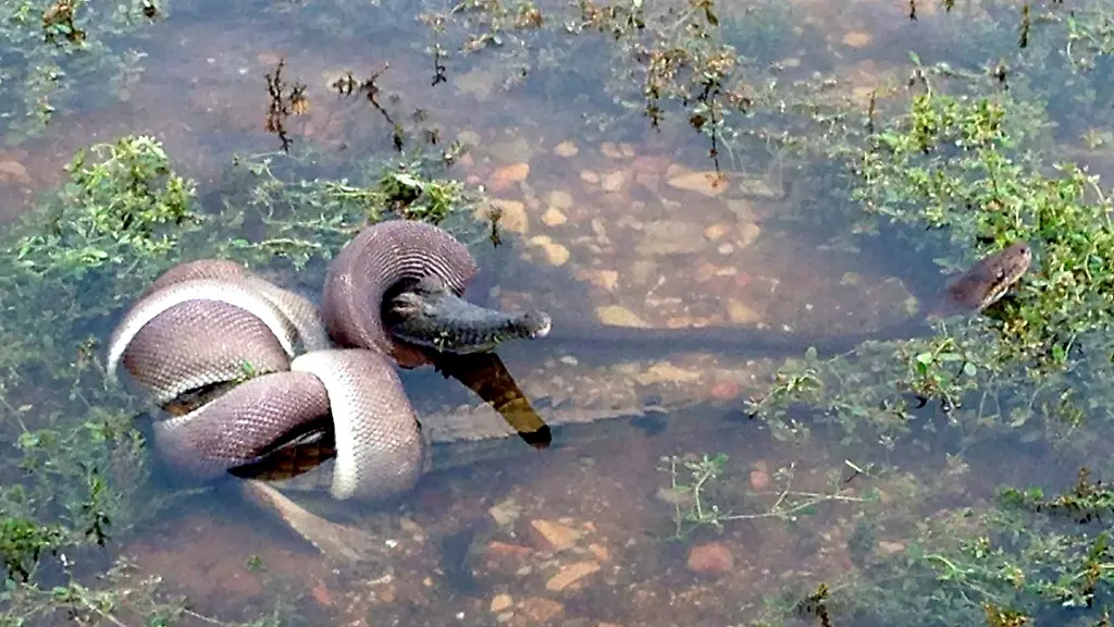 3h6s4850-jpg7421871610742212935