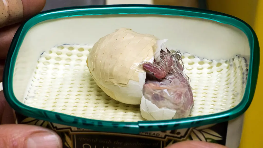 3h6x4913-jpg8526077510005870210